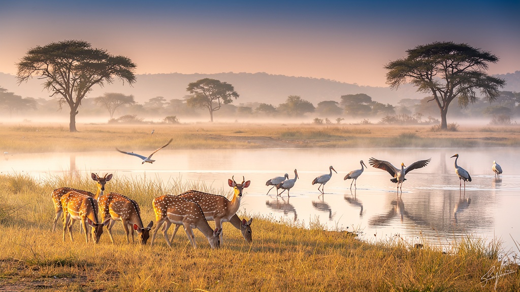 Hastinapur Wildlife Sanctuary landscape